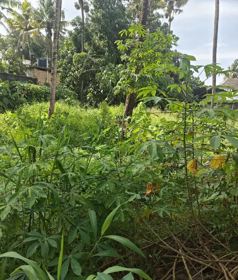 What Type of Property is Best for First Investment?