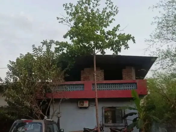 1BHK House for Sale in Lonad Village | Thane