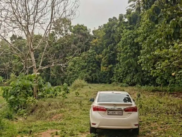 Land for Sale in Pulluvazhy | Kochi