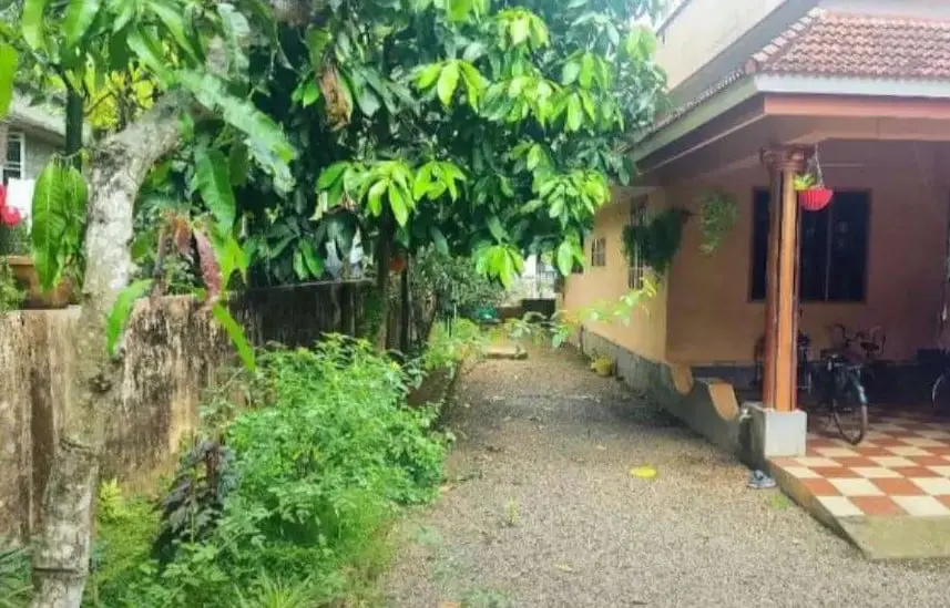 3BHK House for Sale in Pukkattupady | Choornikkara
