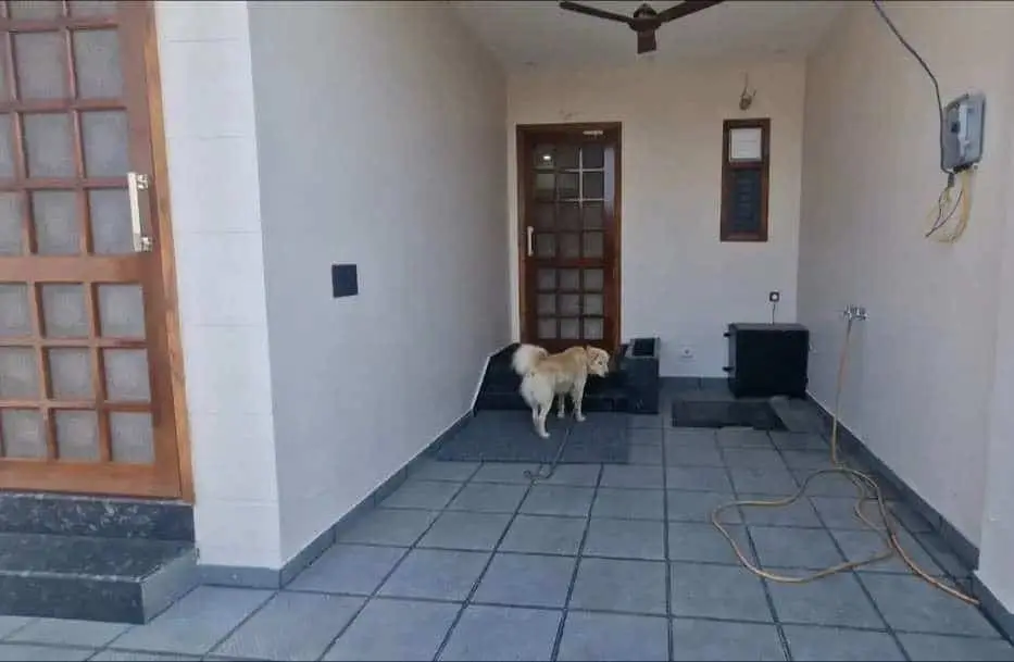 3BHK Independnent House for Sale in Paniyali | Haldwani