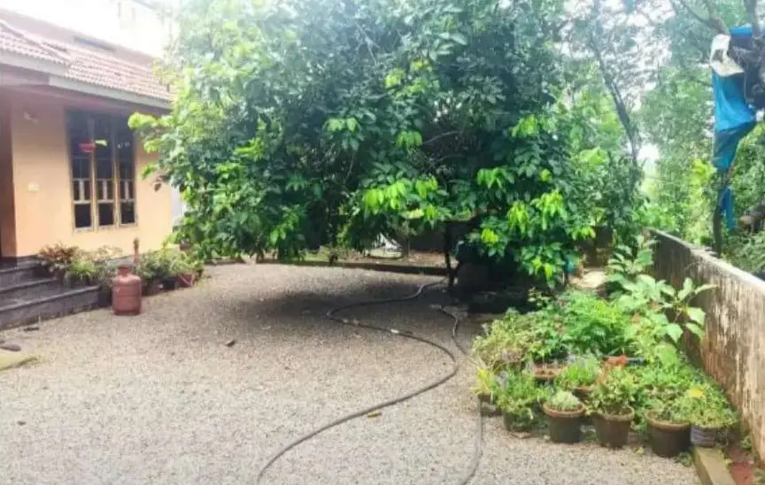 3BHK House for Sale in Pukkattupady | Choornikkara