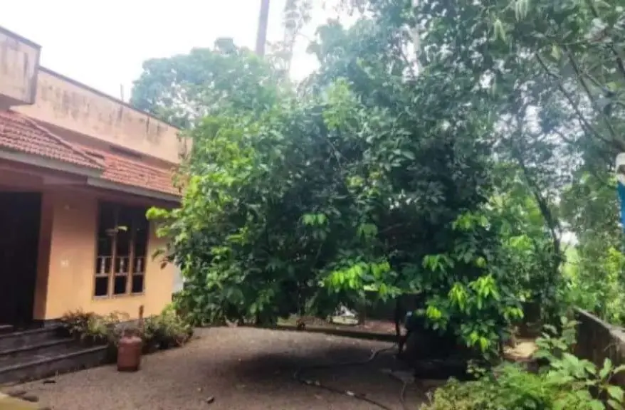3BHK House for Sale in Pukkattupady | Choornikkara