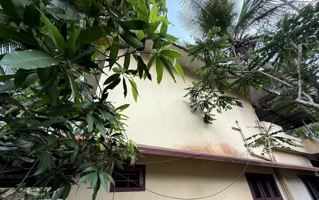 4BHK House for Sale in Thamalassery | Marancheri
