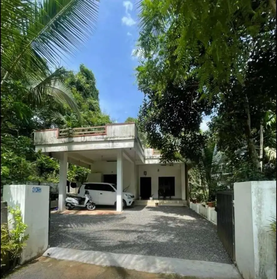 3BHK House for Sale in Onakkoor | Ernakulam