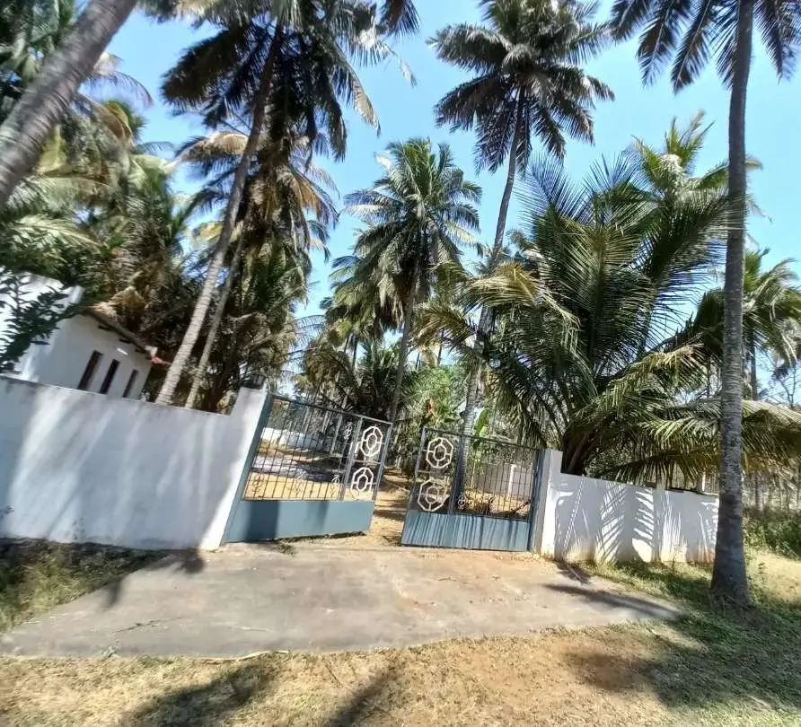 Farmhouse for Sale in Thalakarai | Pollachi