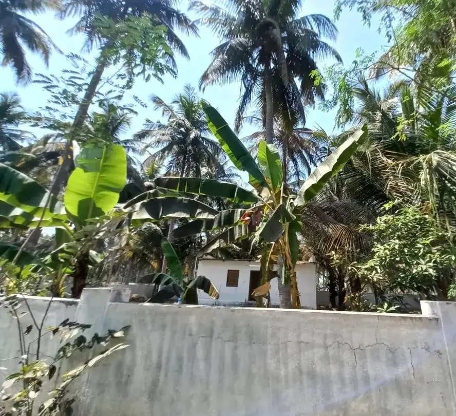 Farmhouse for Sale in Thalakarai | Pollachi