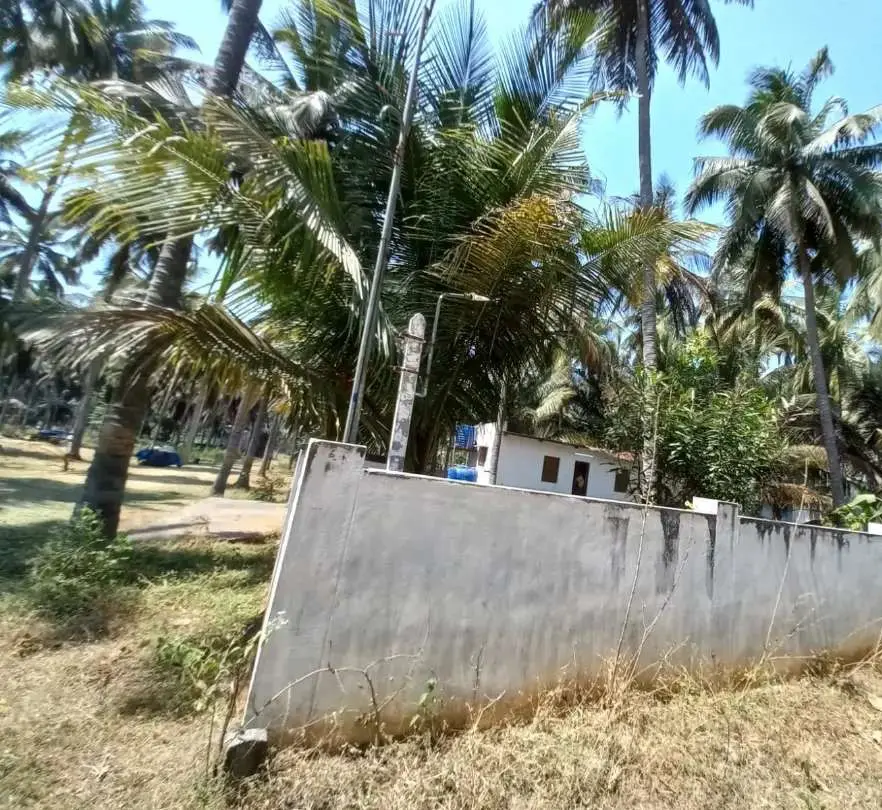 Farmhouse for Sale in Thalakarai | Pollachi