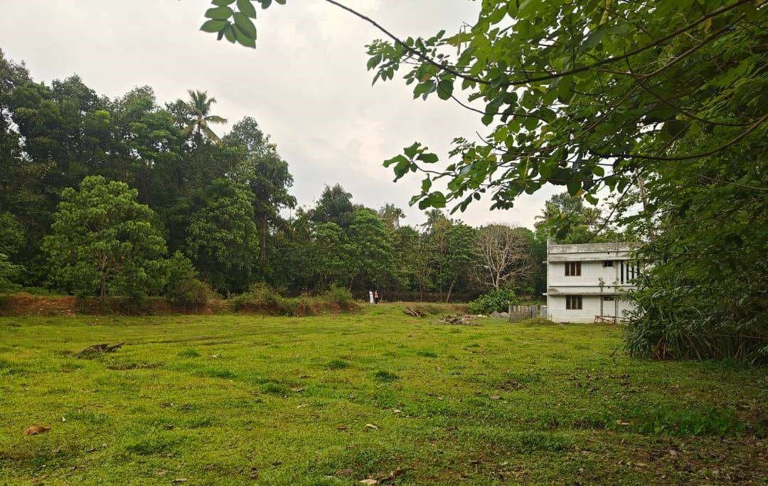 Land for Sale in Pulluvazhy | Kochi