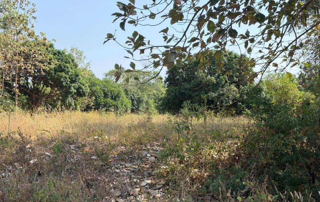 Plot for Sale in Beemaneri | Nagercoil