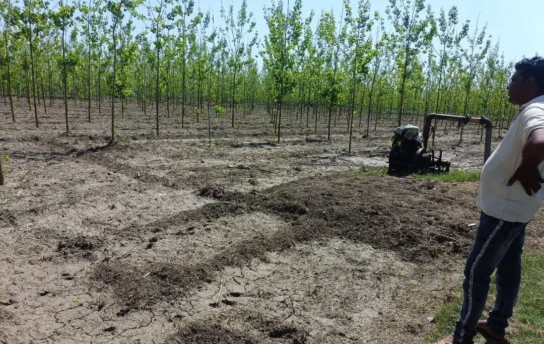 Land for Sale in Surajkund | Faridabad