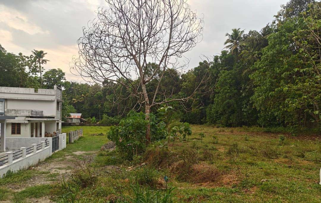 Land for Sale in Pulluvazhy | Kochi